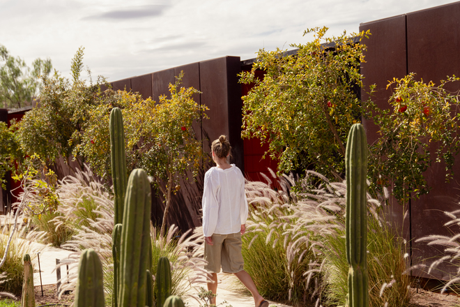 Luxury in the Atacama Desert