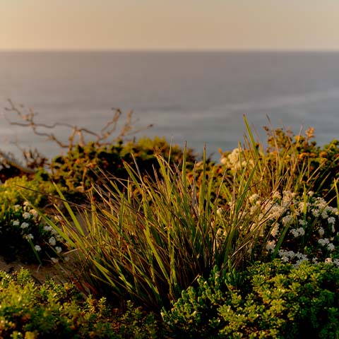 Leave The World Better